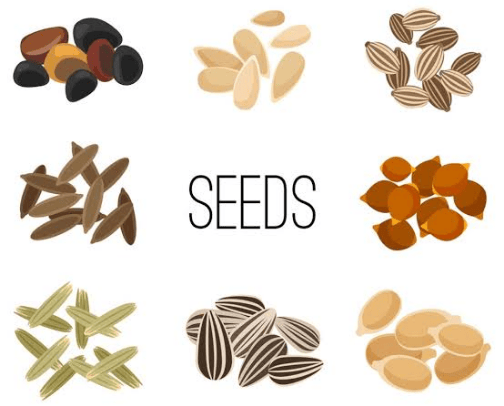Variety of plant, fruit, and vegetable seeds | Aneka Bibit Tanaman,Buah,Sayur cover photo collage