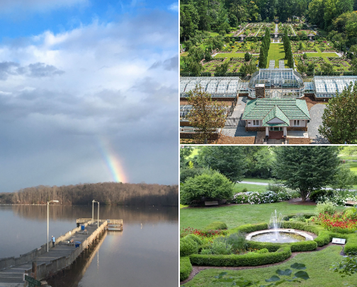 My things to do around North Carolina List! cover photo collage