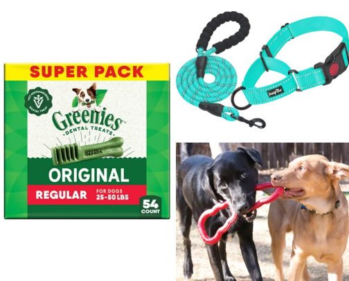 All Things Pup 🐶 cover photo collage