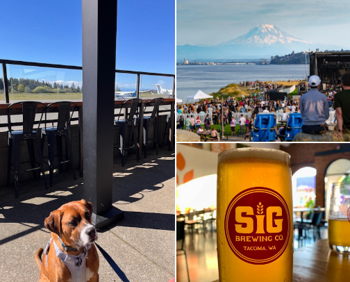 Tacoma, WA Spots to Hit cover photo collage