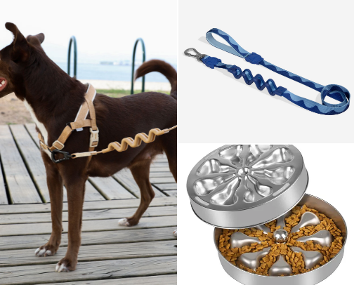 Dog favorites cover photo collage