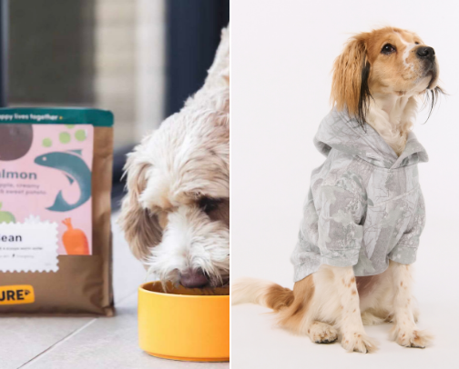 Molly's Favourites. Dog products to make your dog truly happy cover photo collage