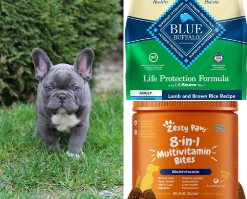 Puppy care must haves🐶✨ cover photo collage