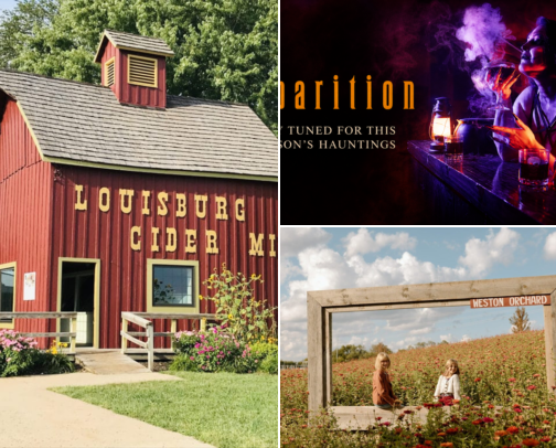 Where to bop around in Kansas City this fall 🎃🍂 cover photo collage
