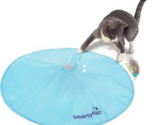 2026 Pet Tech Guide: Working Hard So My Cat Can Retire Early 💅🐈‍⬛ cover photo collage