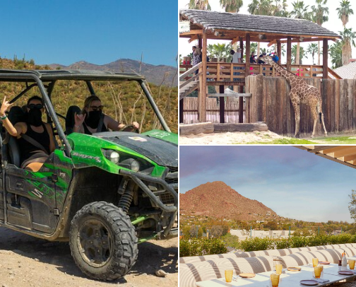 Arizona, Curated cover photo collage