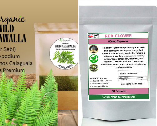 Herbs you need to get cover photo collage