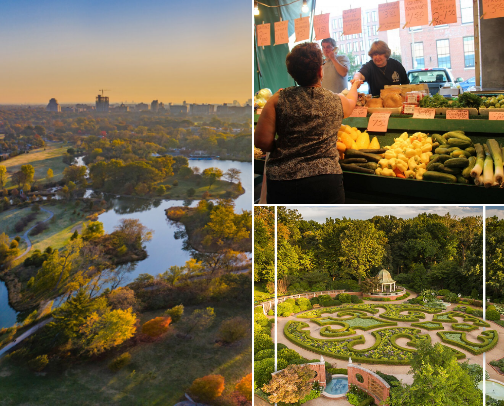 What to Do in St. Louis, MO cover photo collage