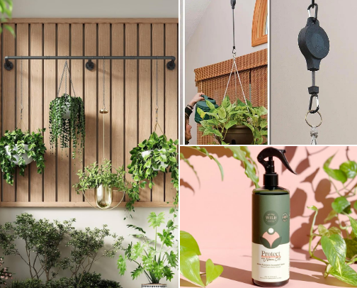 🌿Plant Lady Energy🌿 cover photo collage
