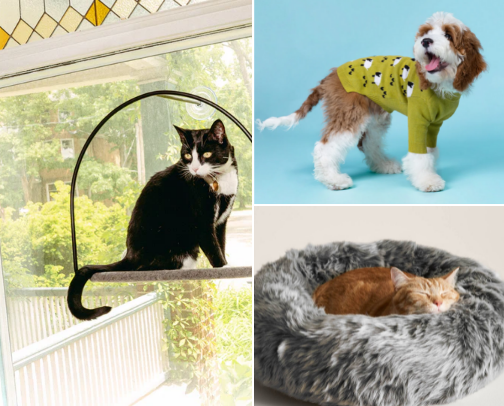 Paw-fect Pet Accessories cover photo collage