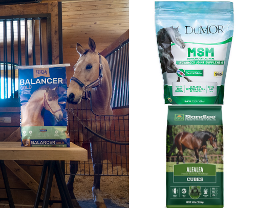 Must haves for horses! cover photo collage