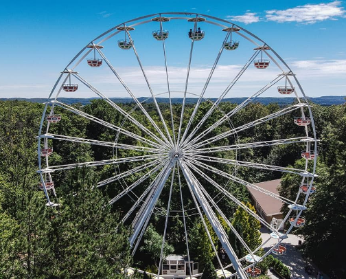 Best Places to Take Kids Around Stuttgart (Year-Round Mom-Tested Spots) cover photo collage