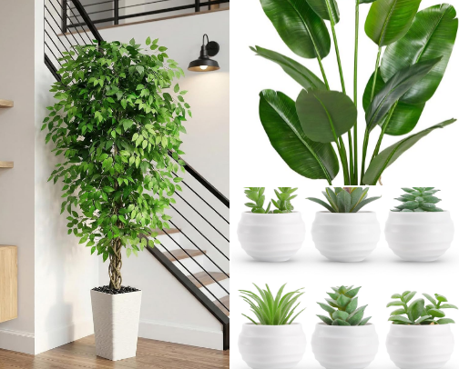 Urban Nature cover photo collage