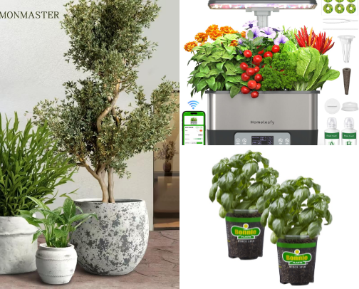 From Dirt to Dinner cover photo collage