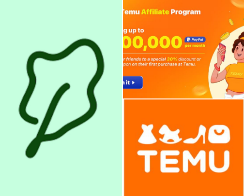 Side hustle? 💸More like phone hustle..📲🤑 cover photo collage