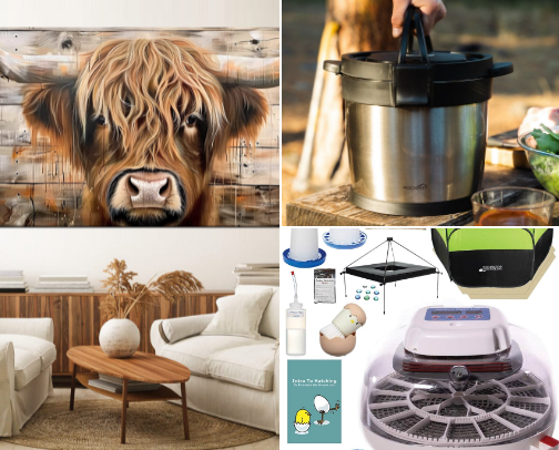 Starting a Homestead? Real Must-Haves We Actually Use (No Fluff) cover photo collage