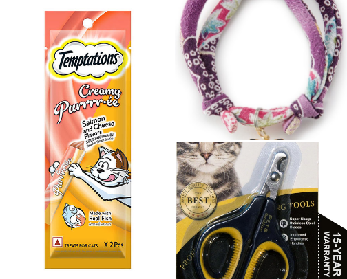 Affordable Must Have Kitten Essentials‼️ cover photo collage