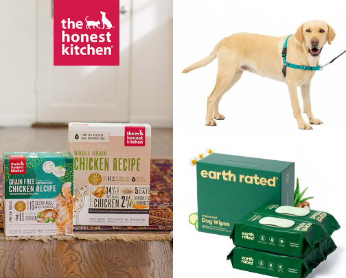 Pets cover photo collage