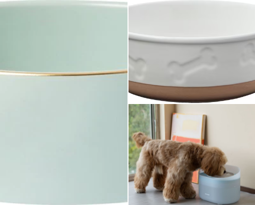 Dog Bowl cover photo collage