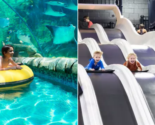 Texas Family Fun: Your Texas Vacation and Entertainment Checklist cover photo collage