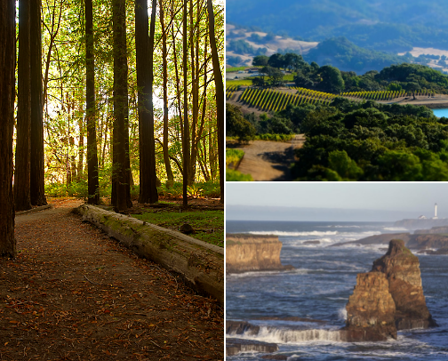 Northern California Hidden Gems (Travel Recs) cover photo collage