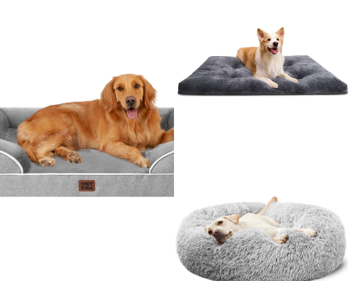 Best dog beds cover photo collage