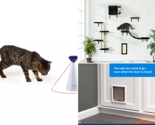 Must-Have Cat Items with a Toddler Around cover photo collage