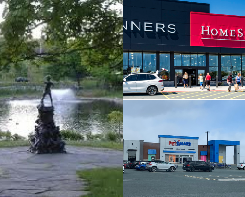 My top local recs cover photo collage
