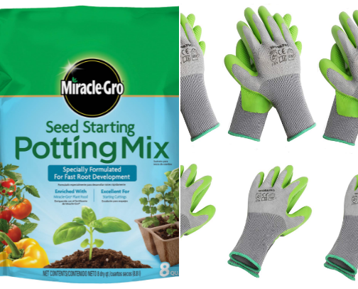 Basic Essentials for Plant Growing cover photo collage