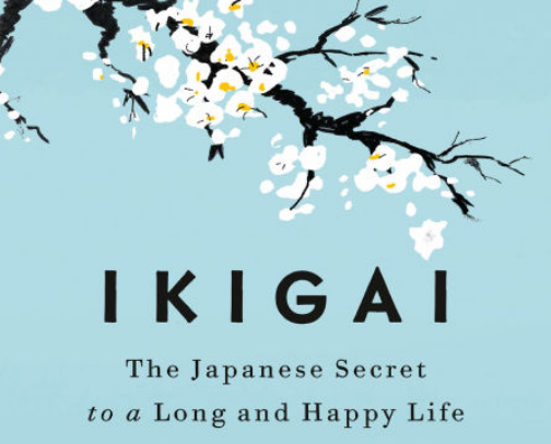 My favorite book recs cover photo collage