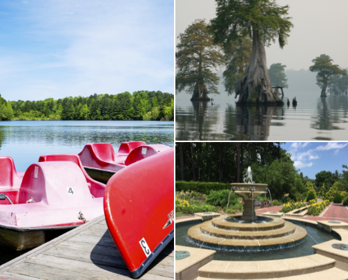 Virginia Things To Do! cover photo collage