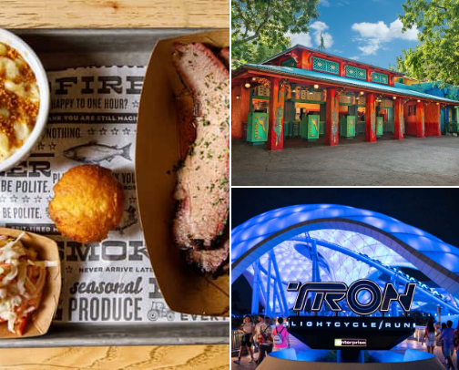 Disney World Recs for the Most Magical Vacation! cover photo collage
