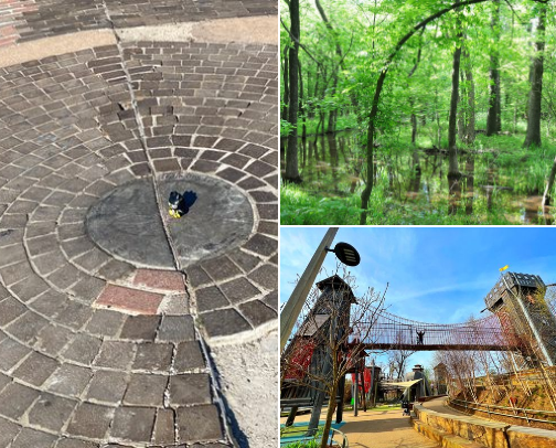 Tulsa Hot Spots- Sports, Outdoors, Local Gems, and Restaurants cover photo collage