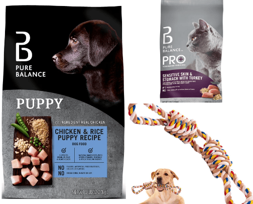 Animal essentials for your furry friend cover photo collage