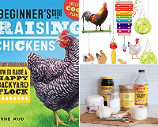 Chicken Health and Toys cover photo collage