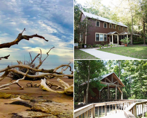 There’s definitely stuff to do in and around Jacksonville, FL and here it is cover photo collage