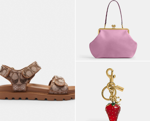 Coach Must Haves! cover photo collage