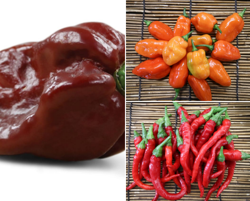 Seeds I Am Growing in 2026! cover photo collage