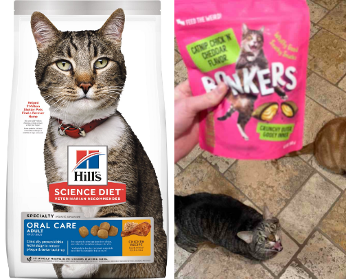 Pawsitively Perfect Pet Supplies cover photo collage