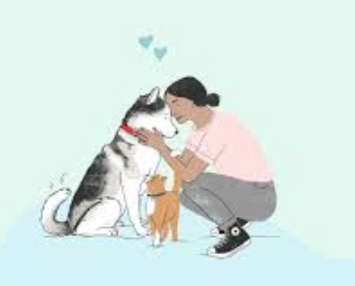 Take Care of Your Senior Pup cover photo collage