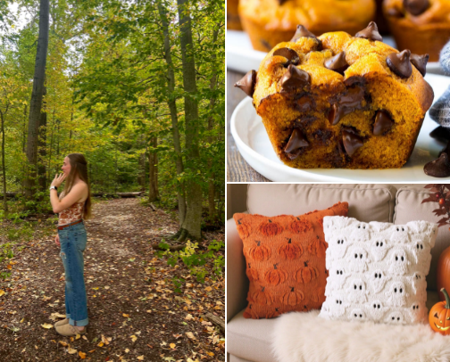 All the fall essentials🍂🎃👻 cover photo collage