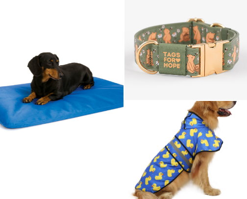 Good Boy 🐶 Essentials ! cover photo collage