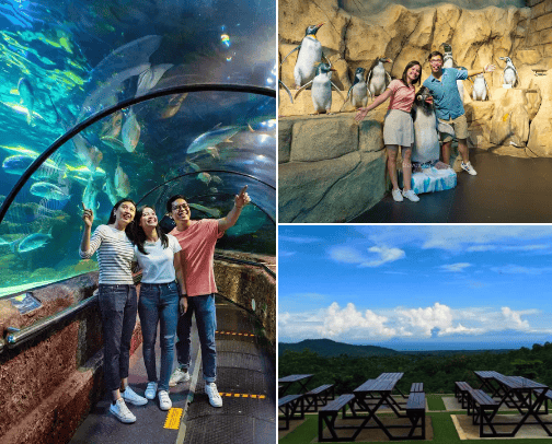 Inspirasi liburan anak sekitaran Indonesia cover photo collage