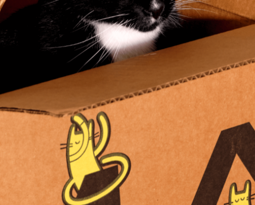 Pet Finds cover photo collage
