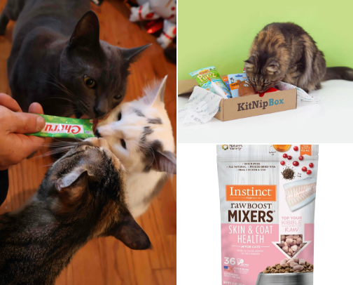 BEST HIGH QUALITY CAT PRODUCTS - I have found! 🐈⬛ cover photo collage