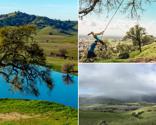 Vacaville Vibes: Easygoing Fun for Everyone cover photo collage