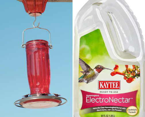 Hummingbird Feeder cover photo collage