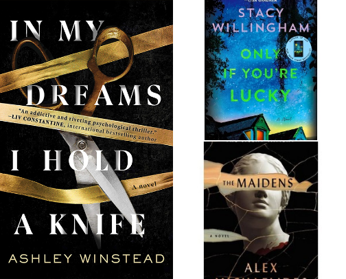 Dark Academia & Magical Mystery Books: Secret Societies, Twisted Friendships, and Academic Intrigue 🪞🔮 cover photo collage