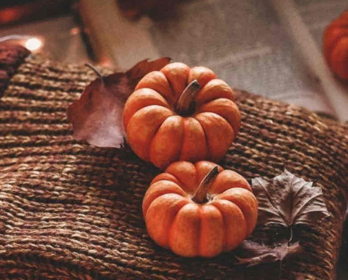 Fall Outfit Inspo🍁🍂 cover photo collage