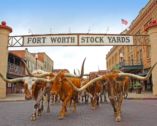 Dallas must-dos: eat, stay, explore & pack cover photo collage